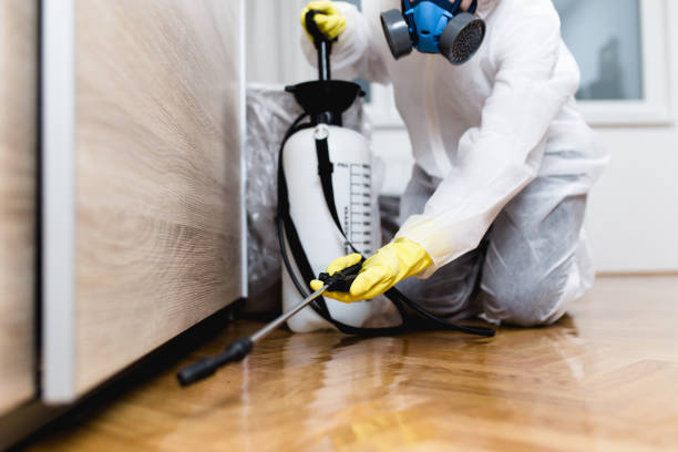 Best Pest Prevention Services  in Yorktown Heights, NY