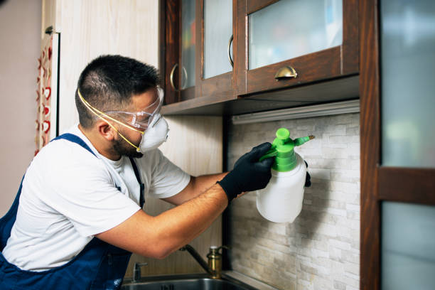 Best Termite Control Services  in Yorktown Heights, NY