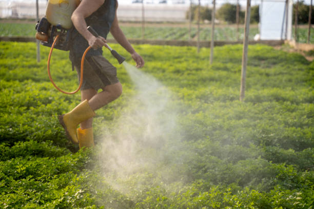 Best Ant Control Services  in Yorktown Heights, NY