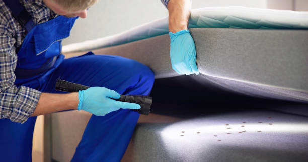 Best Pest Control Near Me  in Yorktown Heights, NY